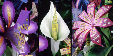 Architectural Flowers