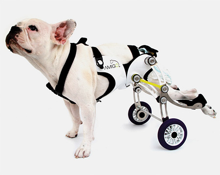 Amigo Dog Wheelchair