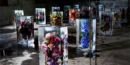 Frozen Flowers