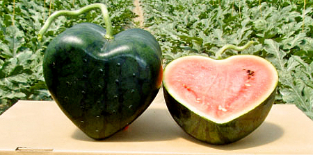 Heart Shaped Watermelon