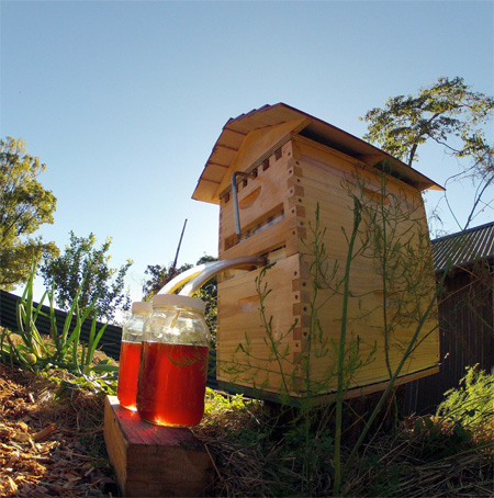 Flow Hive Honey on Tap