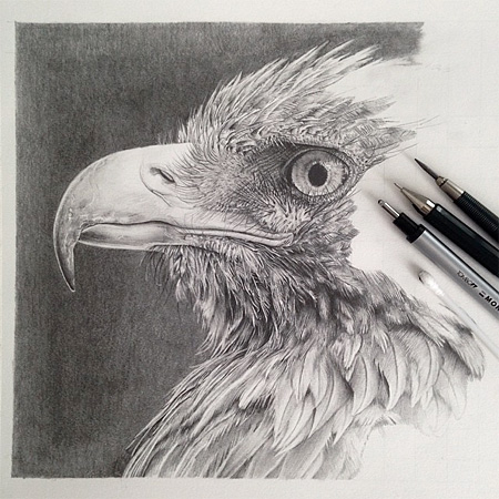 Pencil Drawings by Monica Lee