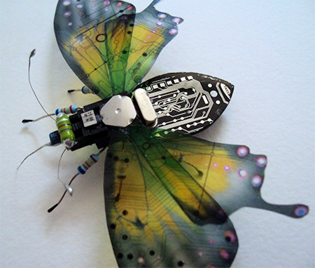 Circuit Board Insects