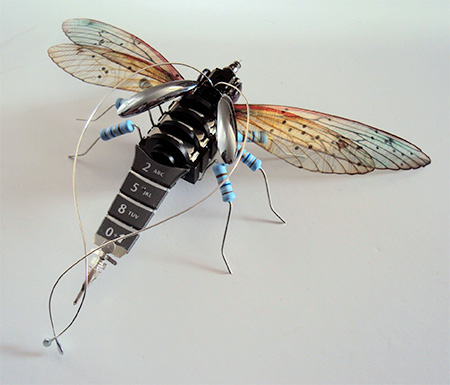 Julie Alice Chappell Insects