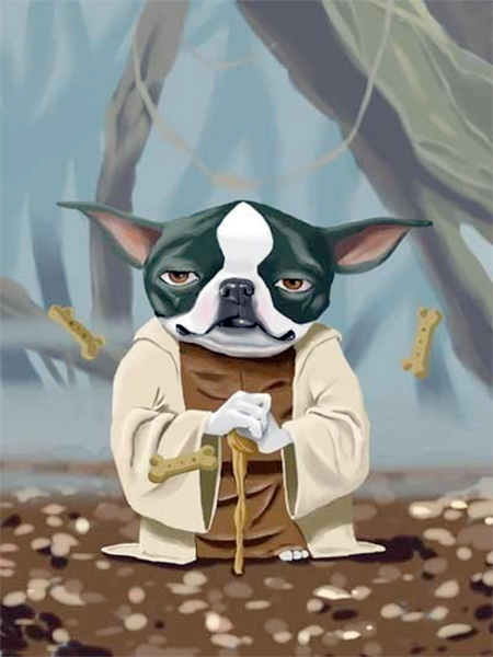 Star Wars Dog