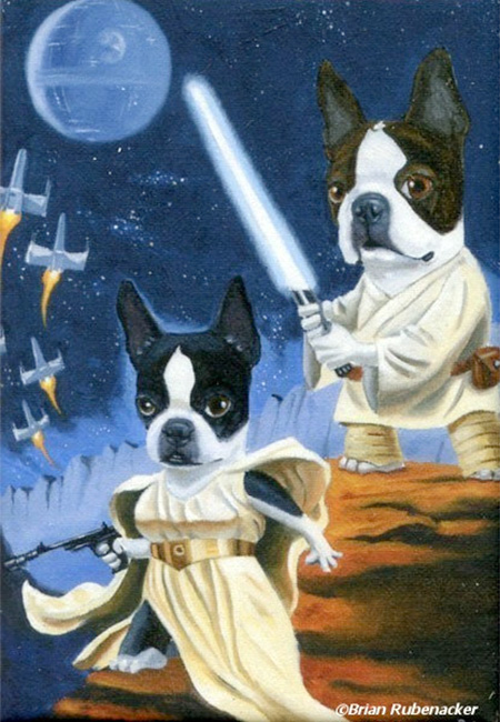 Brian Rubenacker Star Wars Dogs