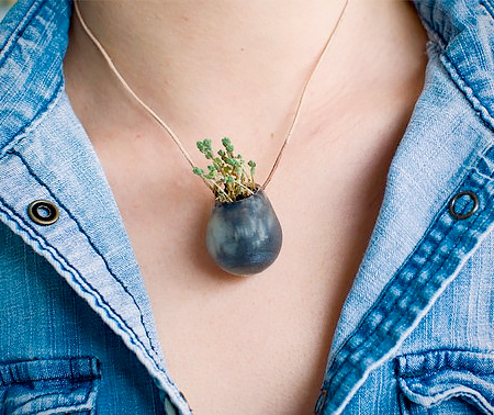 Wearable Plant