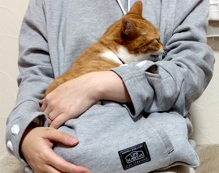 Cat Owners Hoodie