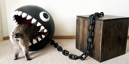 Chain Chomp Cat Bed