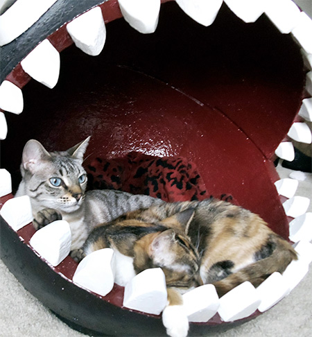 Catastrophic Creations Chain Chomp Cat Bed