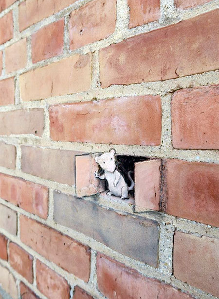 David Zinn