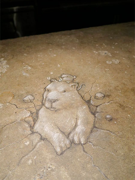 Street Artist David Zinn