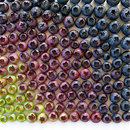 Food Arranged by Colour