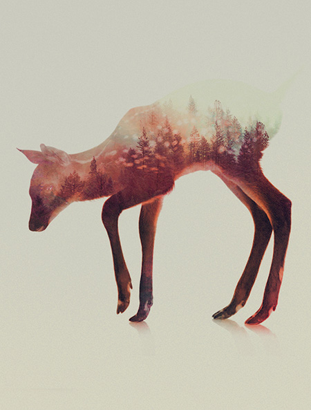 Double Exposure Animals