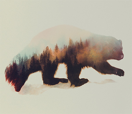 Double Exposure Animal