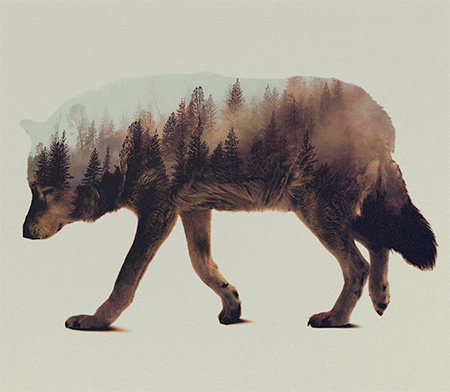 Double Exposure