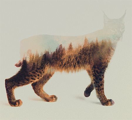 Double Exposure Photography