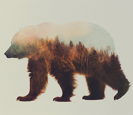 Double Exposure Animals by Andreas Lie