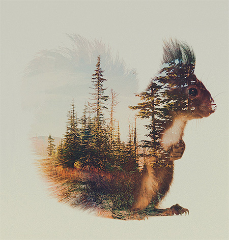 Double Exposure Animal by Andreas Lie