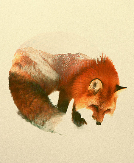 Double Exposure by Andreas Lie