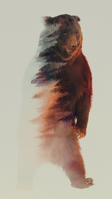 Double Exposure Photography by Andreas Lie