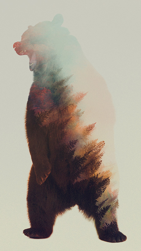 Andreas Lie Double Exposure Animals