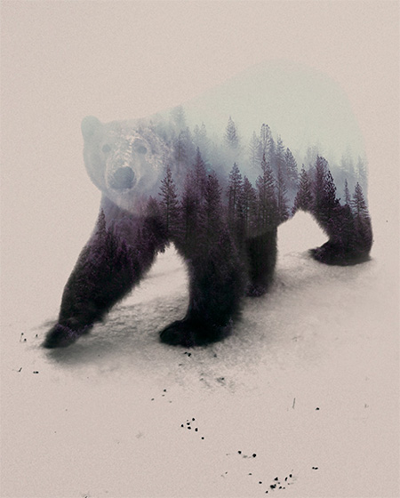 Andreas Lie Double Exposure Animal