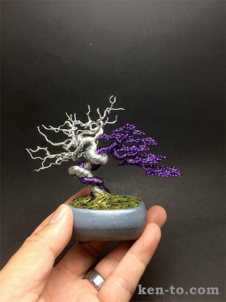 Ken To Wire Bonsai Tree