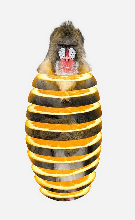 Mandrill Orange