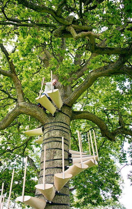 Staircase on a Tree