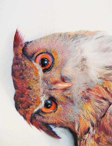 Owl Paintings