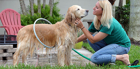 Dog Washer 360