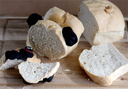 Dog Bread