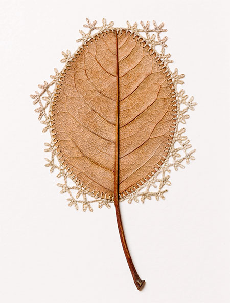 Leaf Sculpture by Susanna Bauer