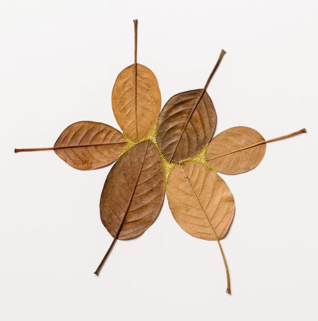 3D Leaf Sculptures