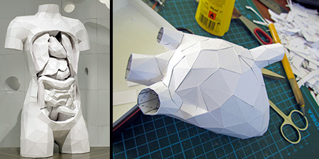 Paper Torso