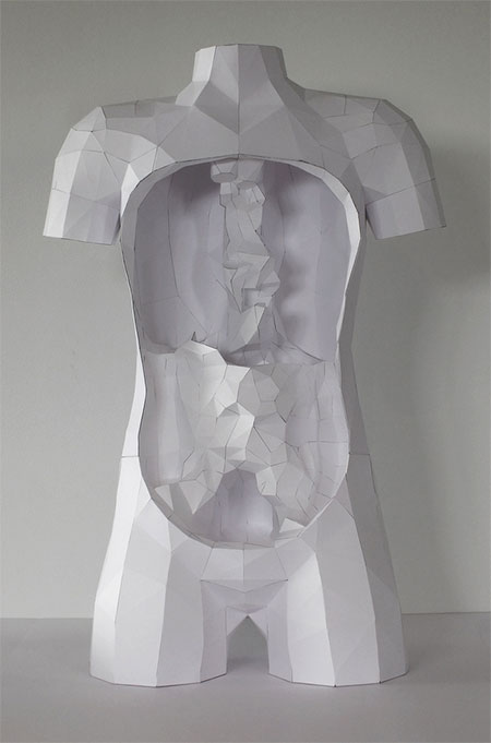 Torso Made of Paper