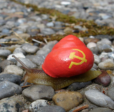 Communist Snail