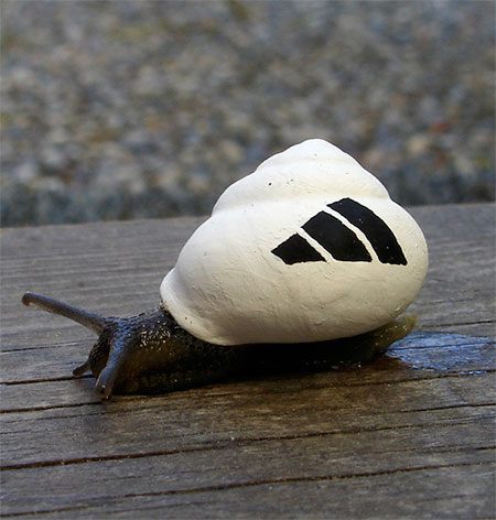 Adidas Snail