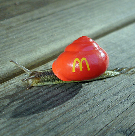 McDonalds Snail