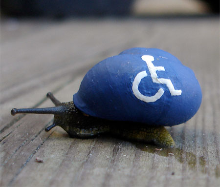 Handicap Snail