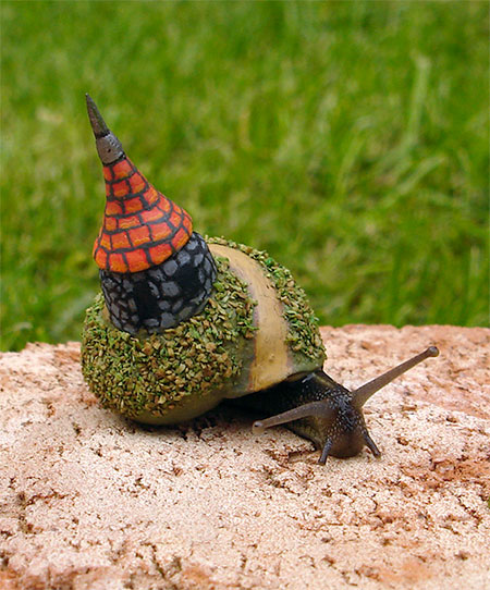 Castle Snail