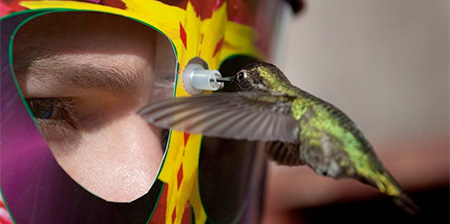 Wearable Hummingbird Feeder