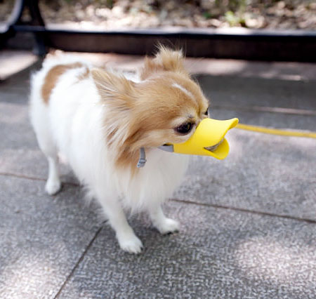 Duck Dog Muzzle