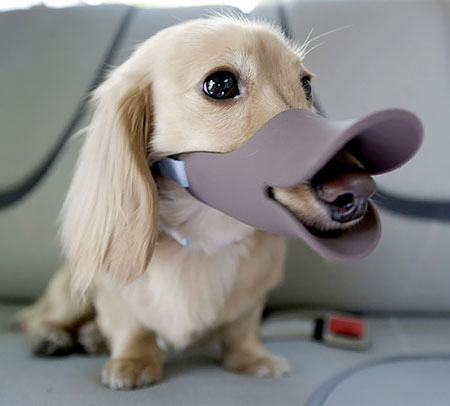 Duckbill Dog Muzzle