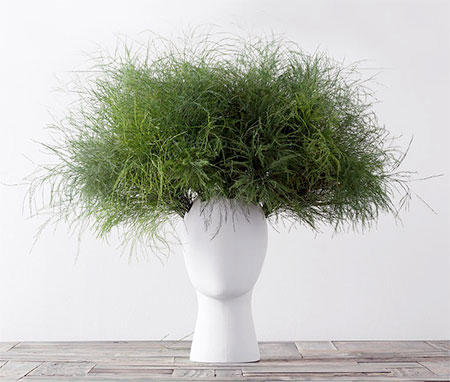 Hairstyle Vase