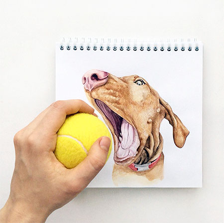 Interactive Dog Illustrations