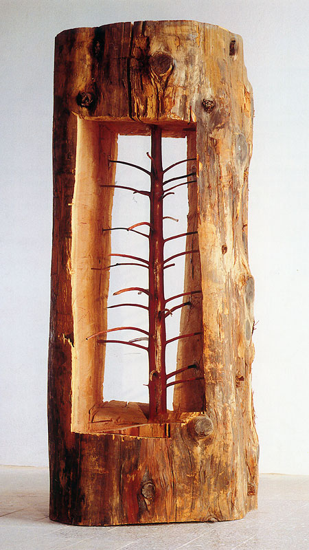 Giuseppe Penone Tree