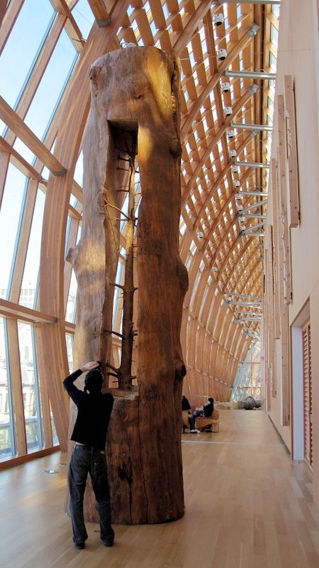 Italian Artist Giuseppe Penone