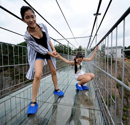 Transparent Bridge